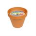 VASETTO TERRACOTTA CITRONELLA 11X10