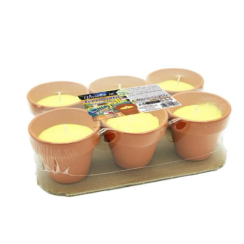 SET 6PZ VASETTI COTTO CITRONELLA 7,5X4