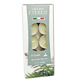 10 TEALIGHT PROFUMATI ETEREA 3,6X1,7 MUSCHIO BIANCO